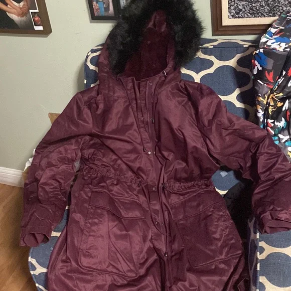 Torrid jacket - Picture 4 of 4